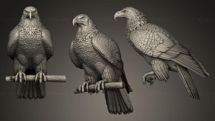 Статуэтки птицы (Орел на насесте, STKB_0023) 3D модель для ЧПУ станка